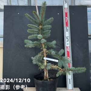 yi͂zsZA vQX zvV[ 7i5jbԖ04-PA