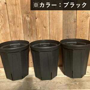 l܂肵ɂIXbg 8O 3ZbgiubNjb04-PA