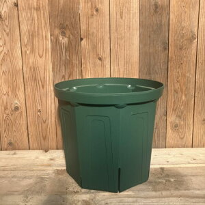 l܂肵ɂIXbg 12 CSM-350iO[jb04-PA