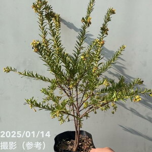 OrA Wr[ 5 ͂10xꍇ܂BbԖ10-TN