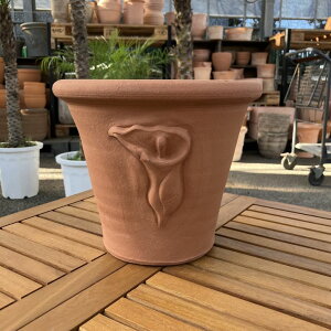 eRb^ EBb`tH[h Whichford Arum pot ssisjb04-PA