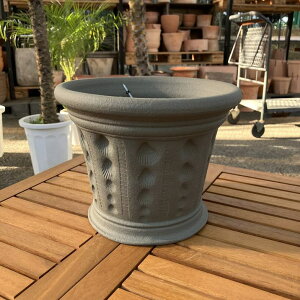 �e���R�b�^�� �E�B�b�`�t�H�[�h Whichford Cockleshell Pot Ash 130Gxa�i������s�j�b����10-KT