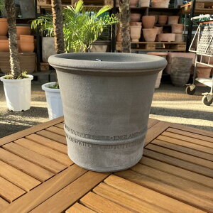 �e���R�b�^�� �E�B�b�`�t�H�[�h Whichford �o�N�T�X�|�b�g Buxus Pot Ash 649xa�i������s�j�b����10-KT