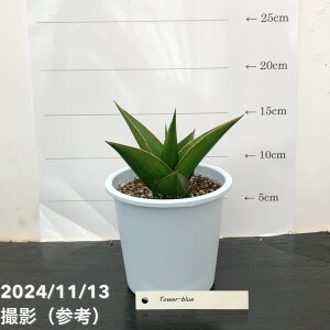 TXxA 4 ^[u[iqjbϗt02-D2