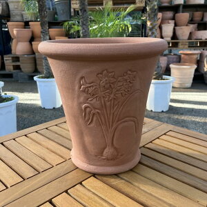 eRb^ EBb`tH[h Whichford Paperwhite Pot 792isjb10-KT