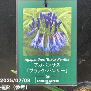 AKpTX ubNpT[ 4b04-PA