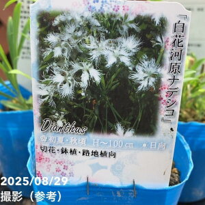 ifVR ԉ͌ifVR 3×3ZbgbR04-PA