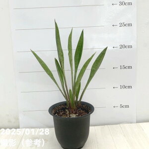 TXxA 3 RVi Xv[[t dlbϗt02-D2