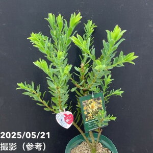 [Jfh nCTCY 5bԖ10-TU