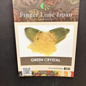 ӂ[ tBK[C 5 O[NX^isjbkbʎ10-CO