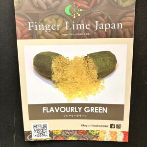 ӂ[ tBK[C 5 to[O[isjbkbʎ10-TU