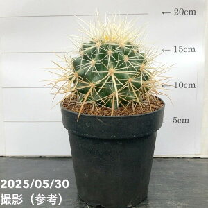 yԌXgA|Cg10{IzGLmJN^X h 4 Aibϗt10-TU