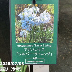 AKpTX Vo[CjO 4b04-PA