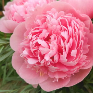 䉖 VNN 7 Gb`hT[b04-PA