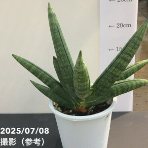 yi͂zTXxA 4 }^ vdliS57jbϗt02-D2