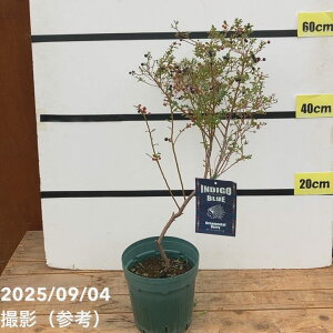 u[x[ CfBSu[ 6bʎ10-TU