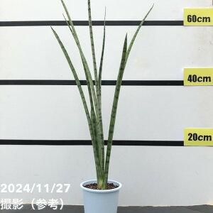 TXxA 4 t[iqjbϗt02-D2