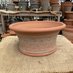 �e���R�b�^�� �E�B�b�`�t�H�[�h Whichford RHS White Clover 702�i������s�j�b����04-PA