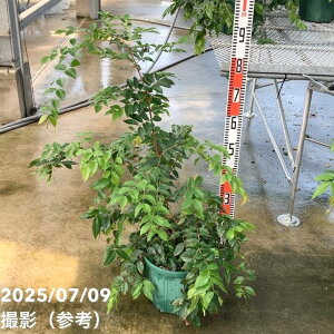 yʌzW{`Jo 8 5Ncbʎ02-D2