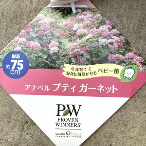 PW Aix veBK[lbg 3.5bԖ04-PA