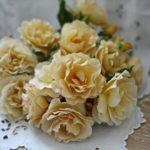 �o���V�c ���E�u���b�V�� 4�� �͖{�o���� �͖{���L�q���� ���[�Y�E�h�D�E�����X���[�b�Ԗ�04-PA