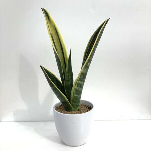 TXxA 4 S[ft[ 픫dlbϗt02-D2