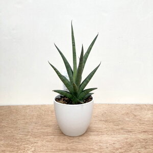 TXxA 4 _[N}CJ 픫dlbϗt02-D2