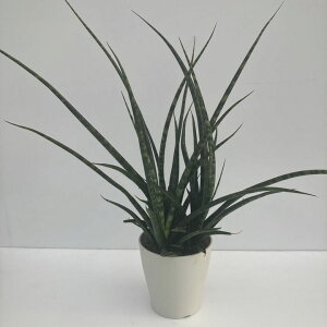 TXxA 5 t@[Ebhi~JhjvX`bNdlbϗt02-D2