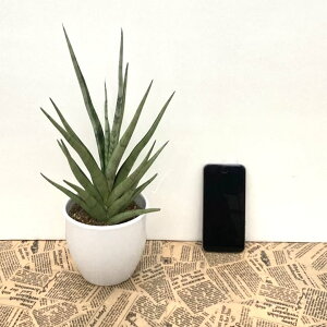 TXxA 4 OLX 픫dlbϗt02-D2