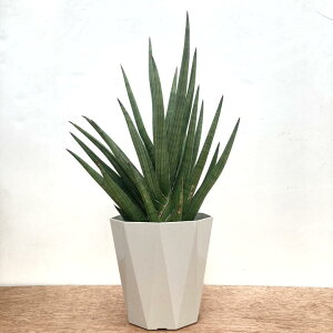 TXxA 5 MK vX`bNdlbϗt02-D2