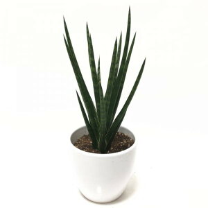 TXxA 3.5 tVV[ 픫Abϗt02-D2