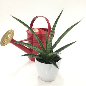 TXxA 4 fB[`[ 픫dlbϗt02-D2