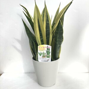 TXxA 5 S[ft[ vX`bNdlbϗt02-D2