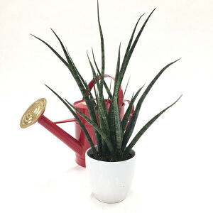 TXxA 4 t@[Ebhi~Jhj 픫dl bϗt02-D2