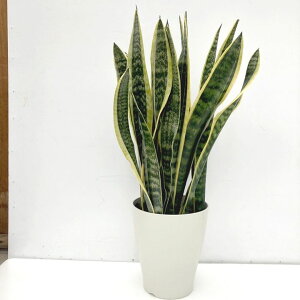 TXxA 7 [`[ vX`bNdlbϗt02-D2