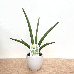 TXxA 4 fUfB[ii`j픫dlbϗt02-D2