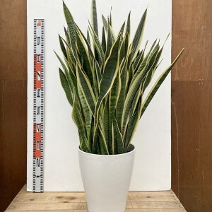 TXxA 10 [`[ vX`bNdlbs200bϗt02-D2