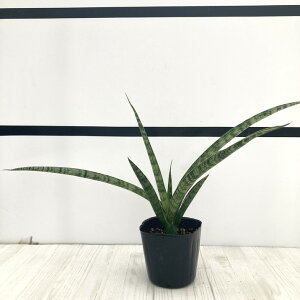 TXxA 3 fB[`[ Ydlbϗt02-D2