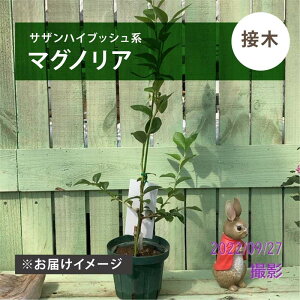 u[x[ TUnCubVn }OmAiږؕcj4.5`5bʎ04-PA