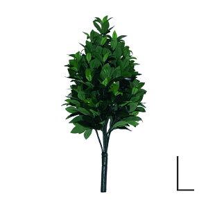 nw yԂ݁iLTCYA63cmjz  S5TCY  lH lTXt[