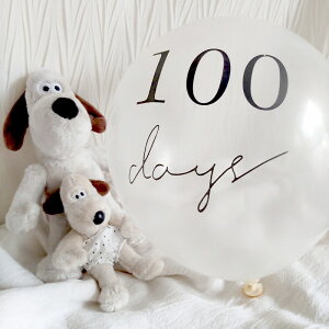 Sj t j̎q ̎q ʐ^ Zt   o[ 100jD  S j Pi ItzCg D p[eB[ i` o[Xf[ o[Xf[tHg oYj Z