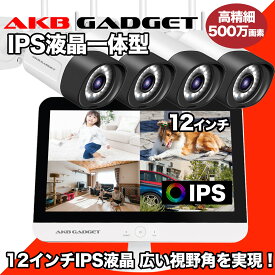 防犯カメラセット ワイヤレス 屋外対応 4台 500万画素 12インチモニター一体型 監視カメラ 常時録画 AI人感検知 夜間カラー撮影 双方向通話 パンチルト LED防犯灯 スマホ対応 ネット不要 IP66防水 アキバガジェット 家庭用