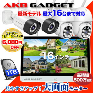 �h�ƃJ���� �Z�b�g �ƒ�p ���O �H���s�v wifi PTZ�Ď��J���� �h�Ɠ��t�� ���� 4��Z�b�g ������ 500����f �Z�L�����e�B�J���� ���C�����X HDD1TB 16�C���`���j�^�\ ����