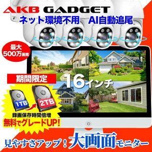 _|Cg10{E1TB2TBLy[^hƃJ Zbg Op ƒp 16C` ^@j^[̌^ Hsv lbgsv wifi PTZ ̌m ǔ ĎJ 4Zbg