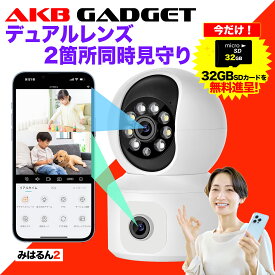 「期間限定・32GB無料付き」見守りカメラ 防犯カメラ WiFi 屋内用 犬猫 ペットカメラ ベビーモニター 400万画素 スマホ対応 パンチルト 夜間撮影 LEDライト 警報通知 双方向音声 簡単設定 工事不要 留守 介護 SDカード録画