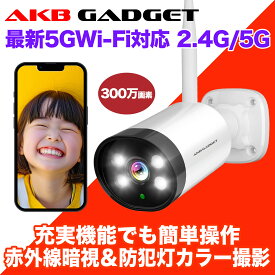 防犯カメラ ワイヤレス 屋外 監視カメラ 家庭用 5G wifi対応 ネットワークカメラ 300万画素 動体検知 IP66防水防塵 スマホ遠隔監視 業務用 見守りカメラ NVR増設可能