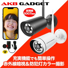 防犯カメラ ワイヤレス 屋外 監視カメラ 家庭用 AI検知 wifi ネットワークカメラ 500画素 動体検知 IP66 防水防塵 スマホ遠隔監視 無線 業務用 LED防犯灯付き 見守り