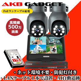 防犯カメラ poe給電 屋外 PTZ機能 2台セット AI自動追尾 家庭用 監視カメラ 10インチ モニター付き 500万画像 赤外線モード 双方向音声 遠隔監視 防水 HDD付き