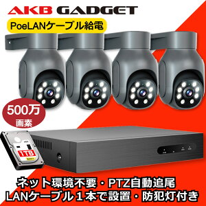 防犯カメラ 屋外 poe給電 セット 家庭用 PTZカメラ 4台セット 録画機セット 500万画像 防犯灯付き 動体検知 AI自動追尾 常時録画 遠隔監視 監視カメラ