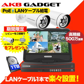 ＼ポイント10倍・0円1台レビューキャンペーン中／防犯カメラ 屋外 PoE給電 2台セット 家庭用 監視カメラ 500万画素 AI人感検知 動体検知 フルカラー暗視 広角レンズ スマホ遠隔操作 HDD内蔵 カメラ電源不要 アルミ製耐久型 IP66防水防塵 24時間録画